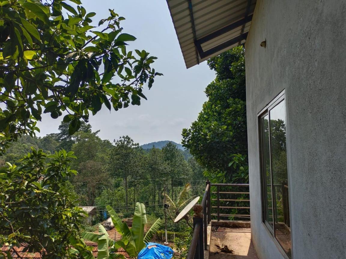 Green Land Estate Homestay 5 Rooms With Garden View Madikeri Εξωτερικό φωτογραφία