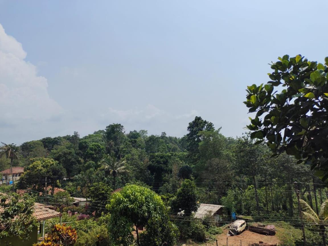 Green Land Estate Homestay 5 Rooms With Garden View Madikeri Εξωτερικό φωτογραφία