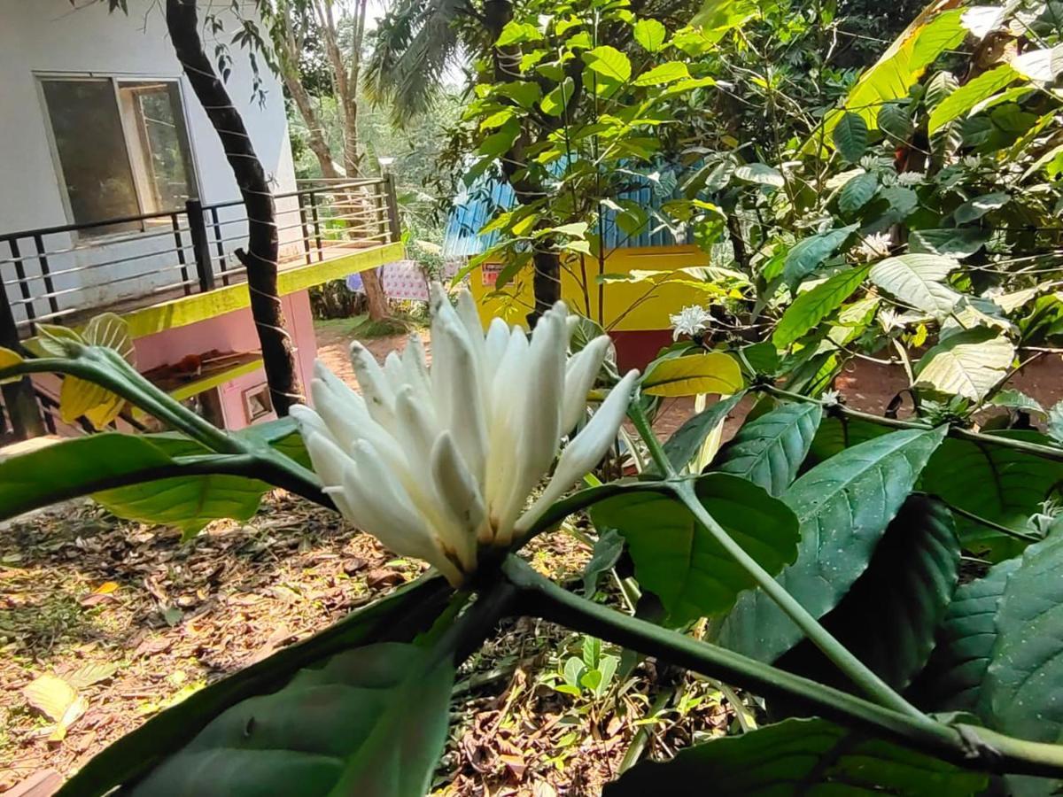 Green Land Estate Homestay 5 Rooms With Garden View Madikeri Εξωτερικό φωτογραφία