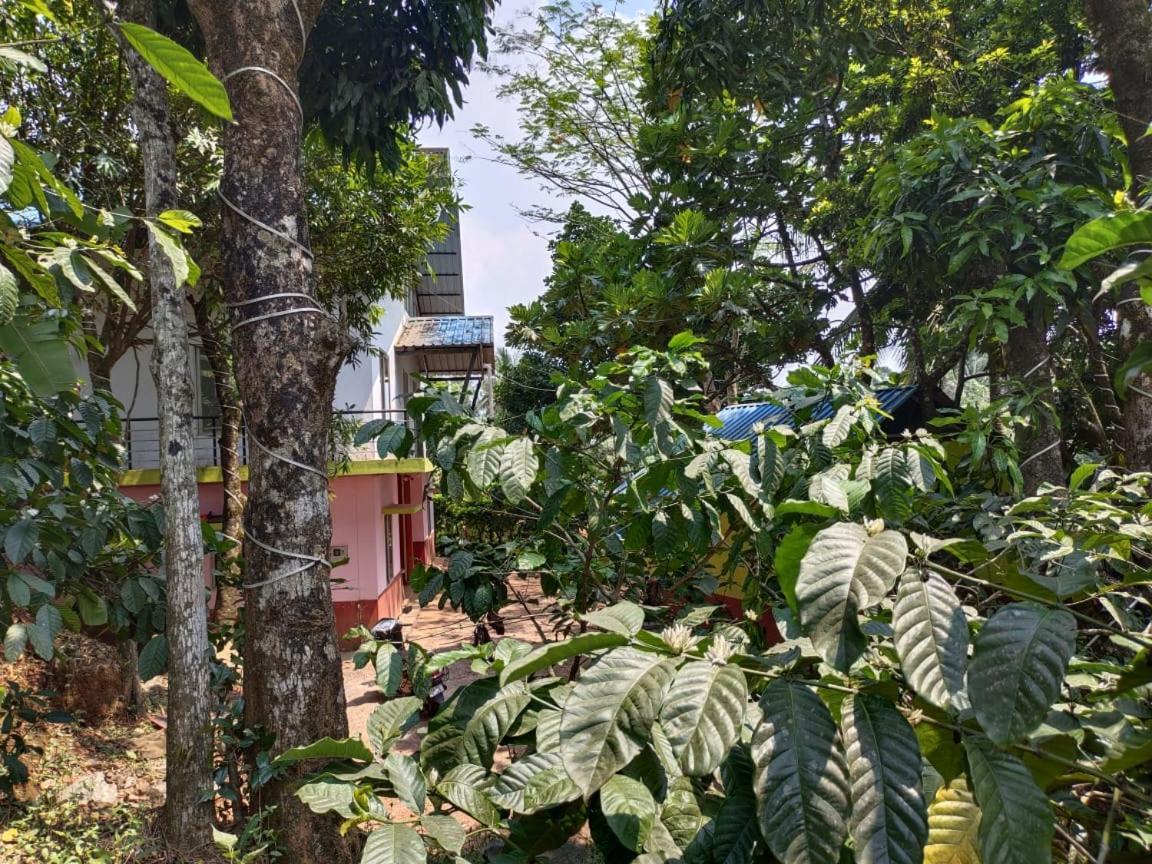 Green Land Estate Homestay 5 Rooms With Garden View Madikeri Εξωτερικό φωτογραφία